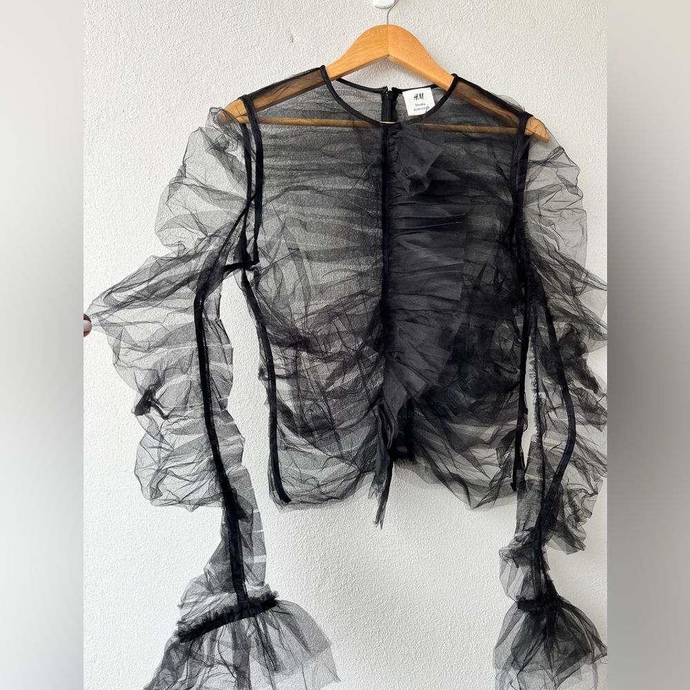 H&M Black Sheer Ruffle Blouse - Picture 5 of 16